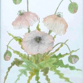 Watercolour painting Abstract study of a poppy plant by an Irish artist. Buy paintings for your home or office 100% hassle free shopping